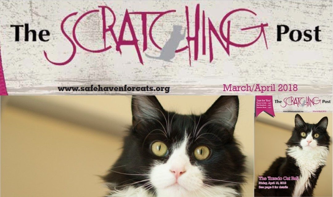 The Scratching Post: March / April 2018