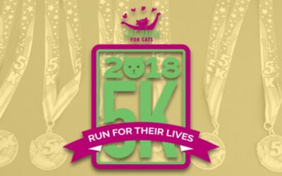 Final Days to SAVE on the 5K