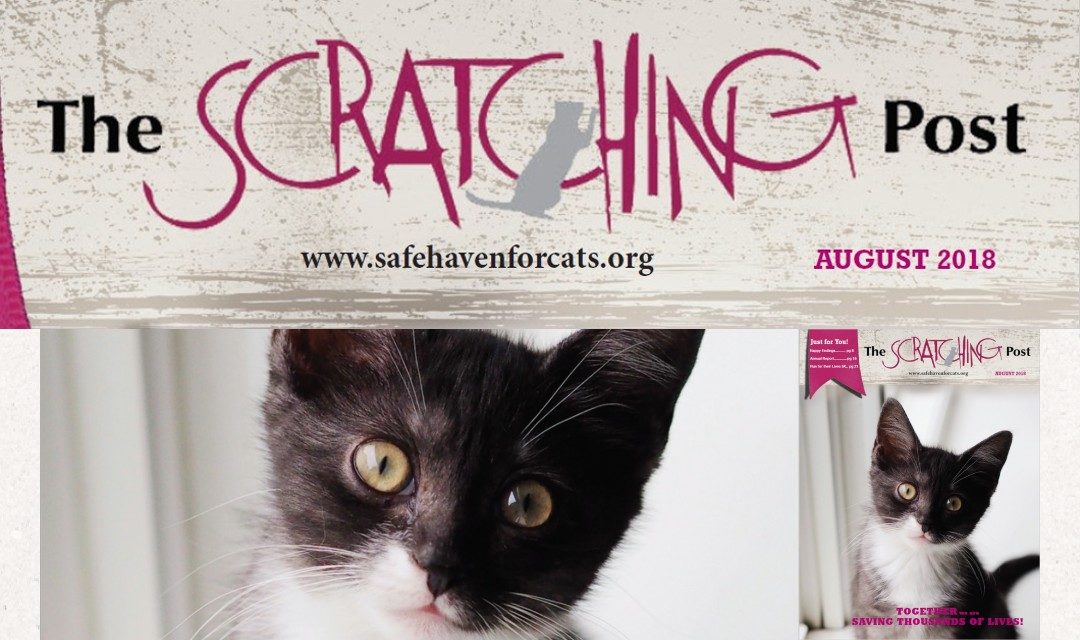 The Scratching Post: August 2018