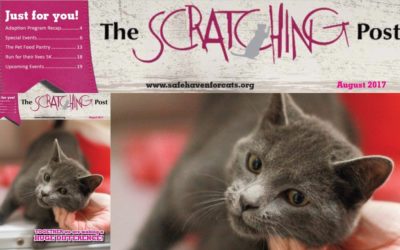 The Scratching Post: August 2017